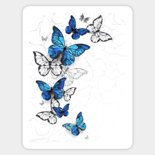 Flying Butterflies Morpho Sticker